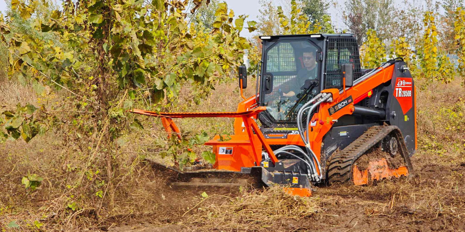 Sibom compact track loader clearing land for forestry work